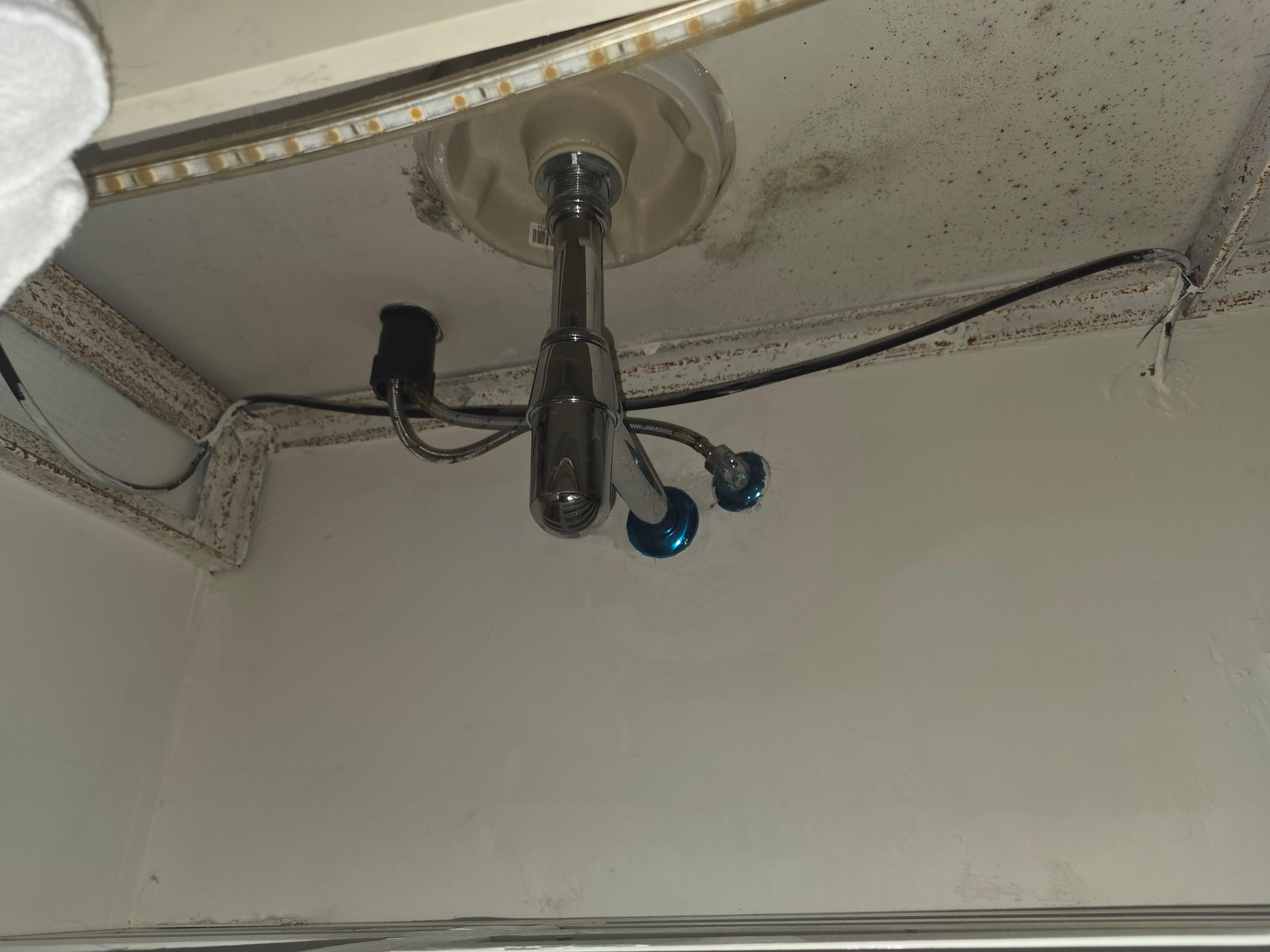 Mold/Mildew