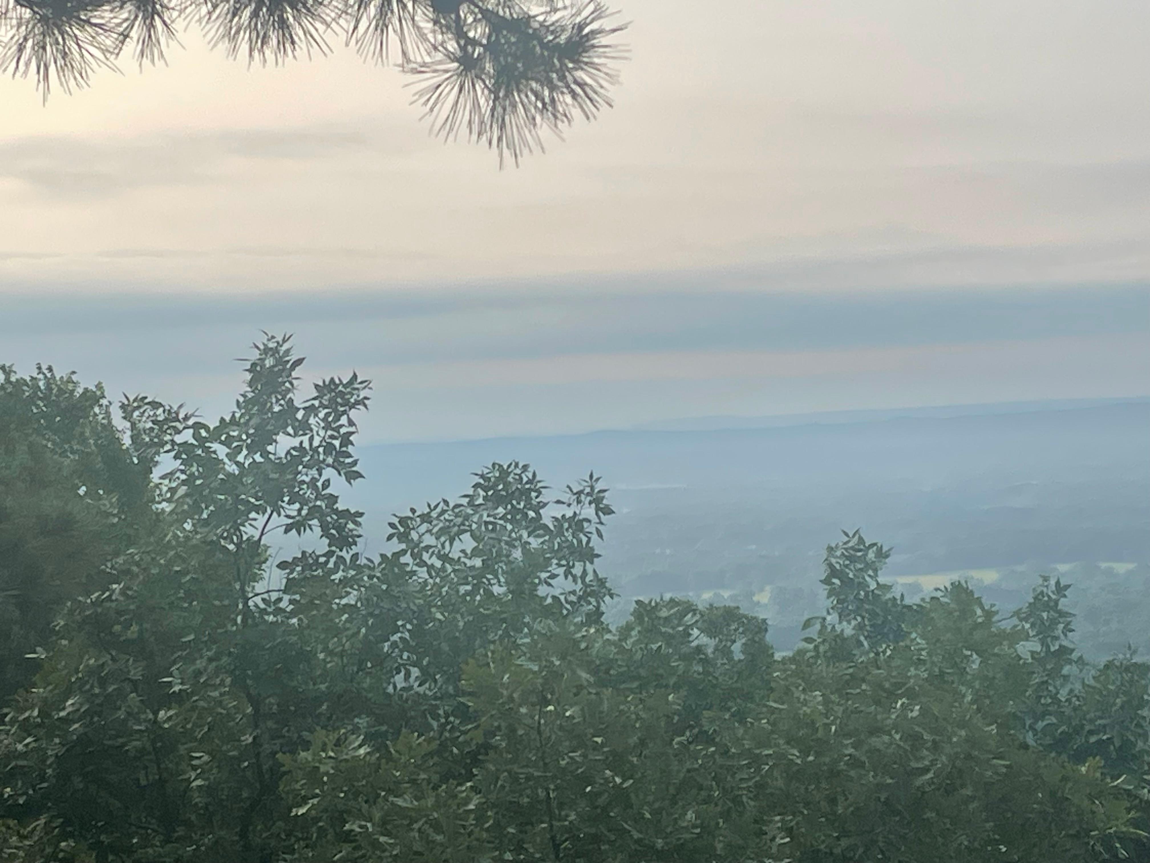 View from the back of property