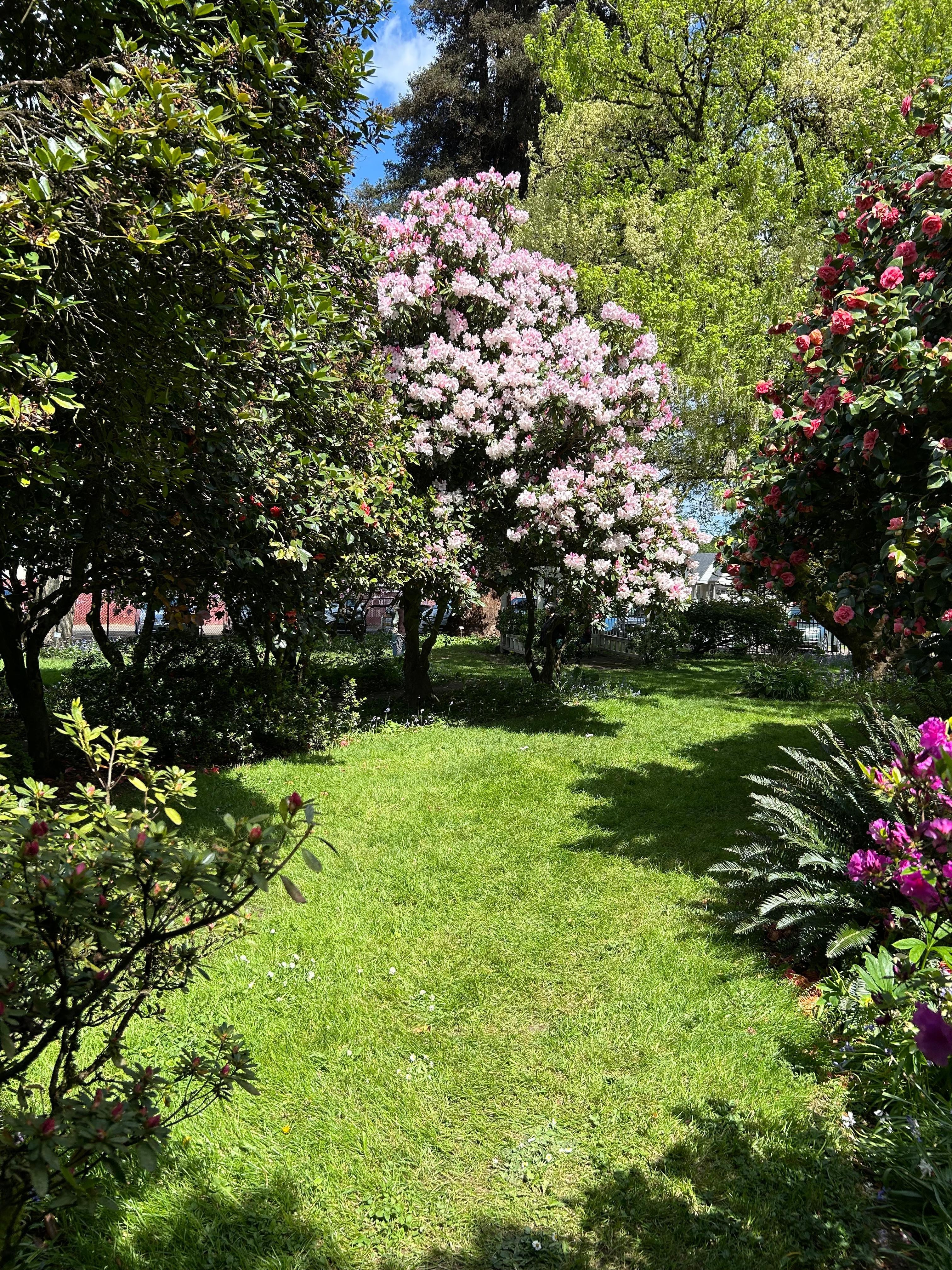 Hulda Klager Lilac Garden is only minutes away from the hotel.