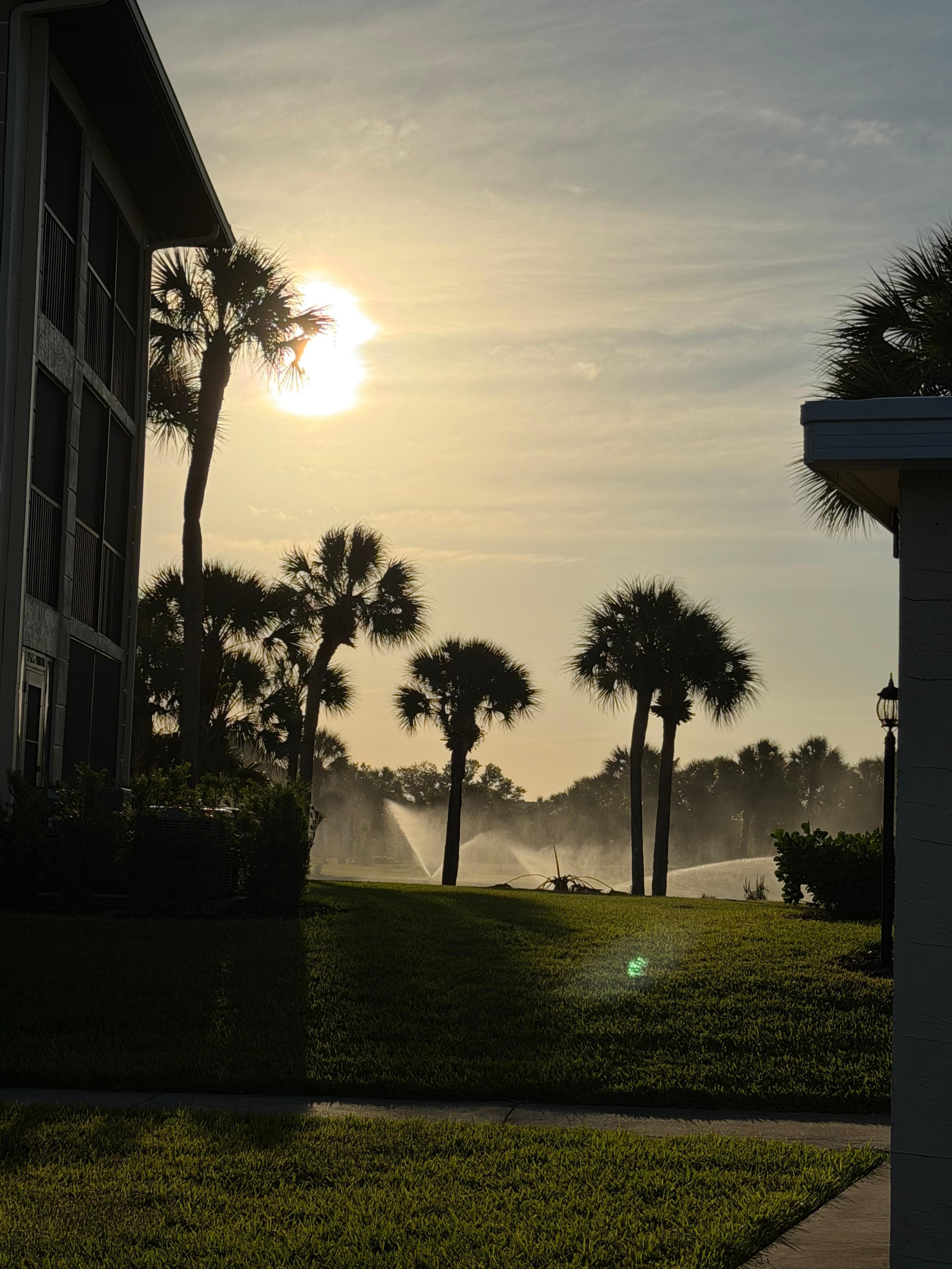 Morning view walking out 