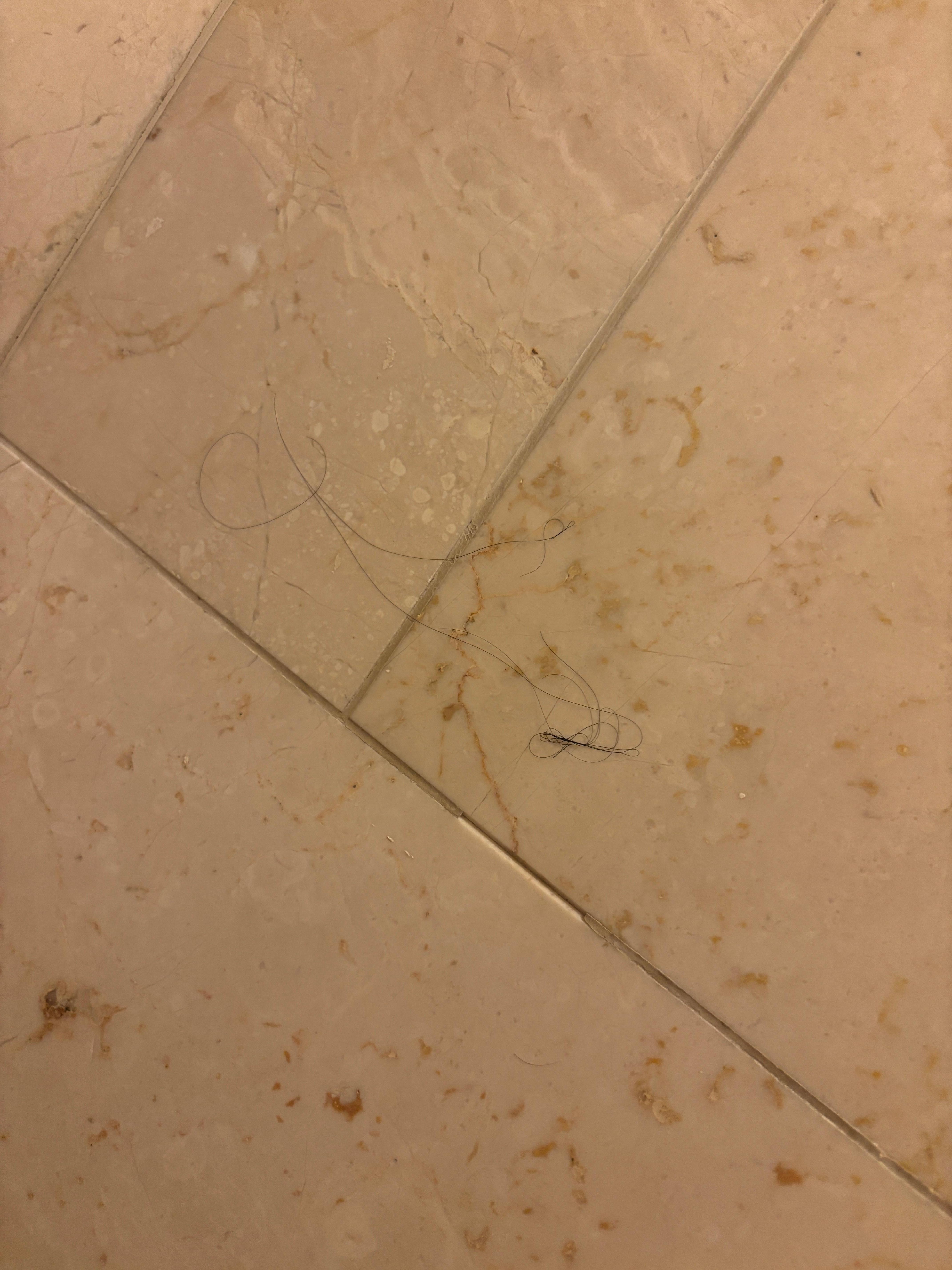 Hair in the shower