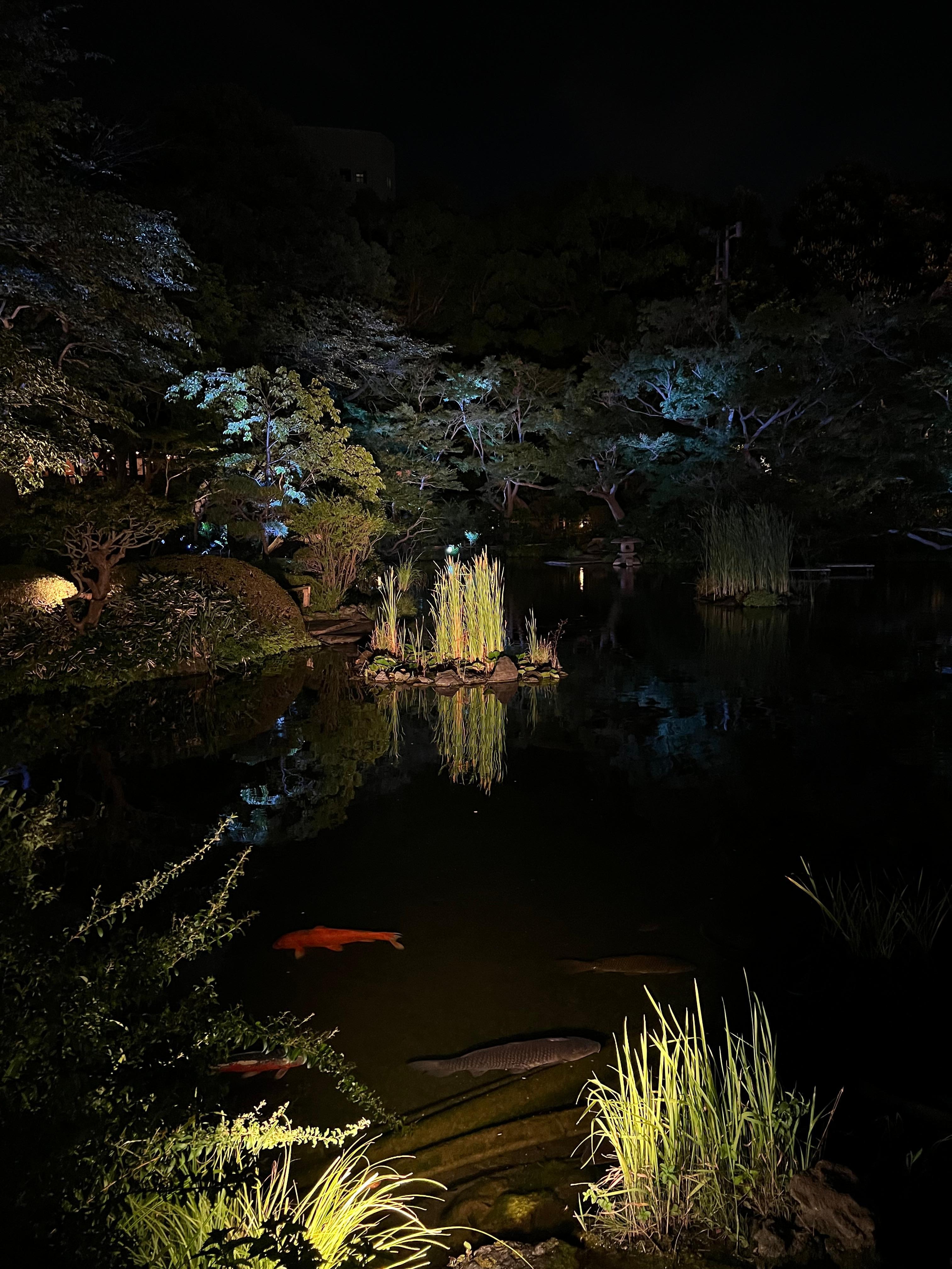 The garden