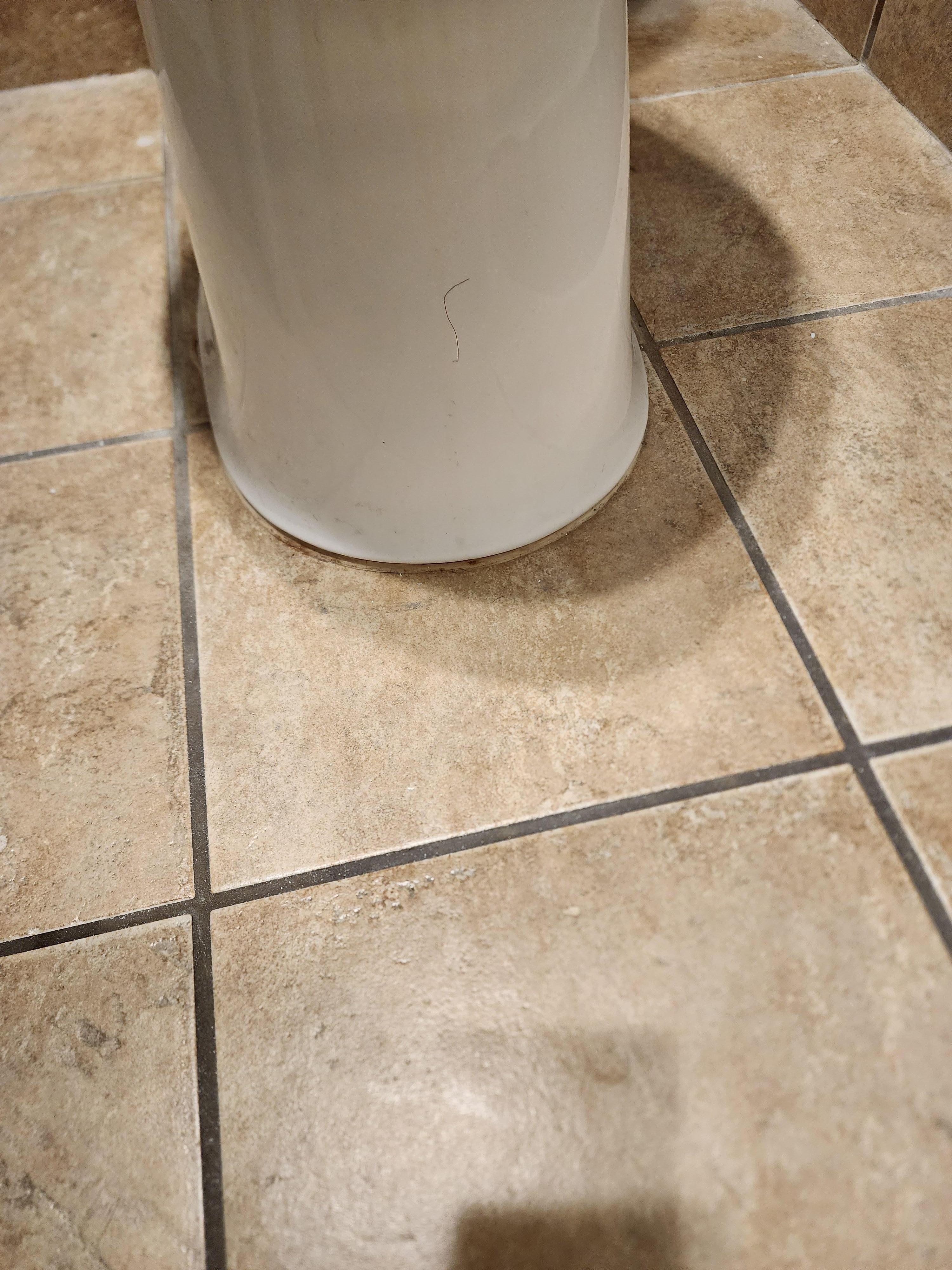 Random hair on the toilet