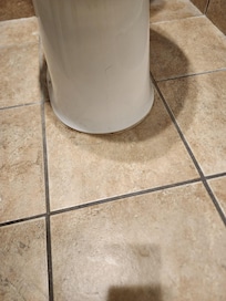 Random hair on the toilet