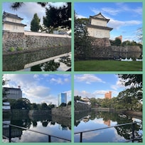近くに公園があり、早朝散歩しました。