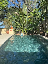 Another picture of the pool area