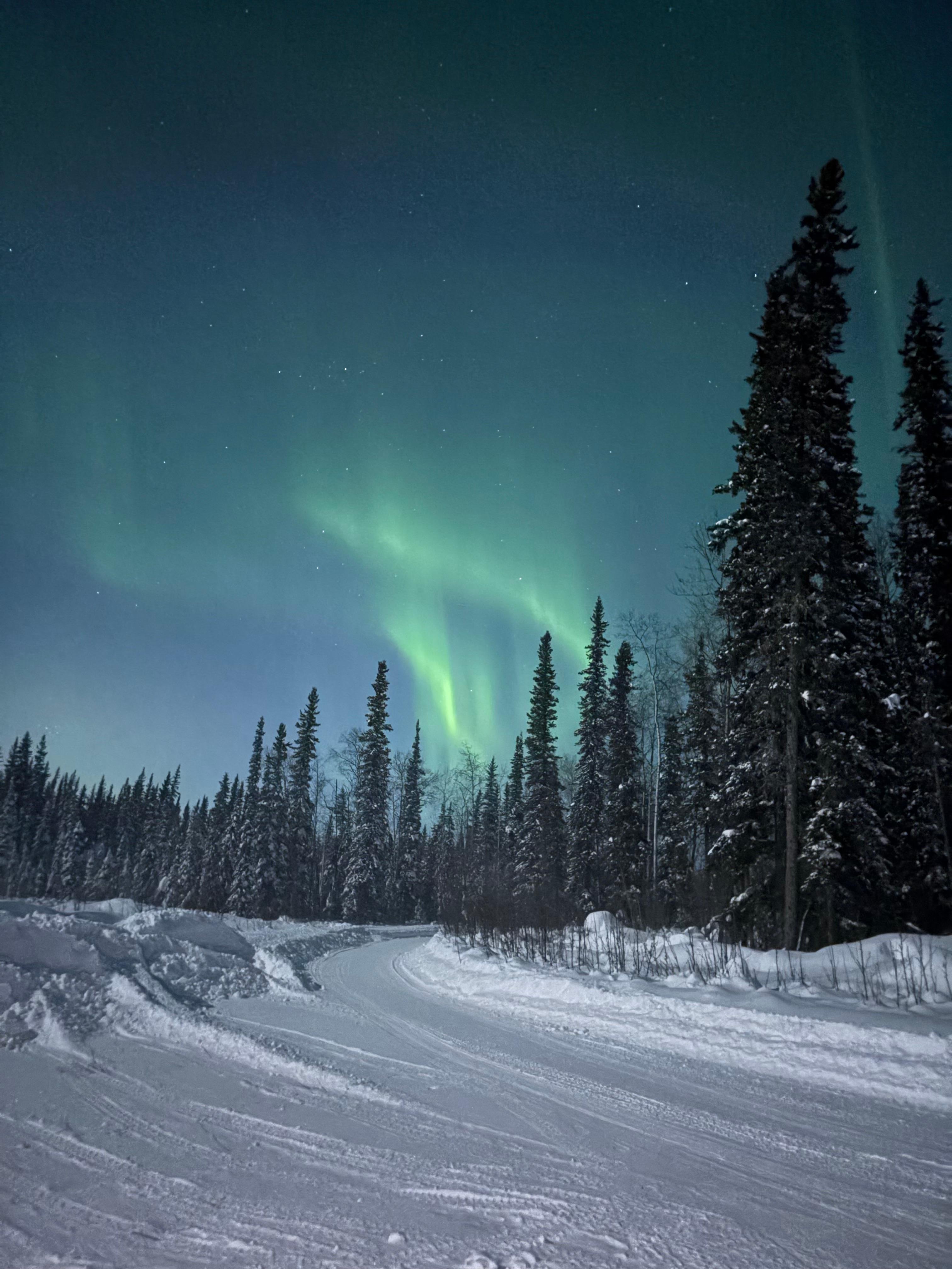 Northern lights seen right from the property 