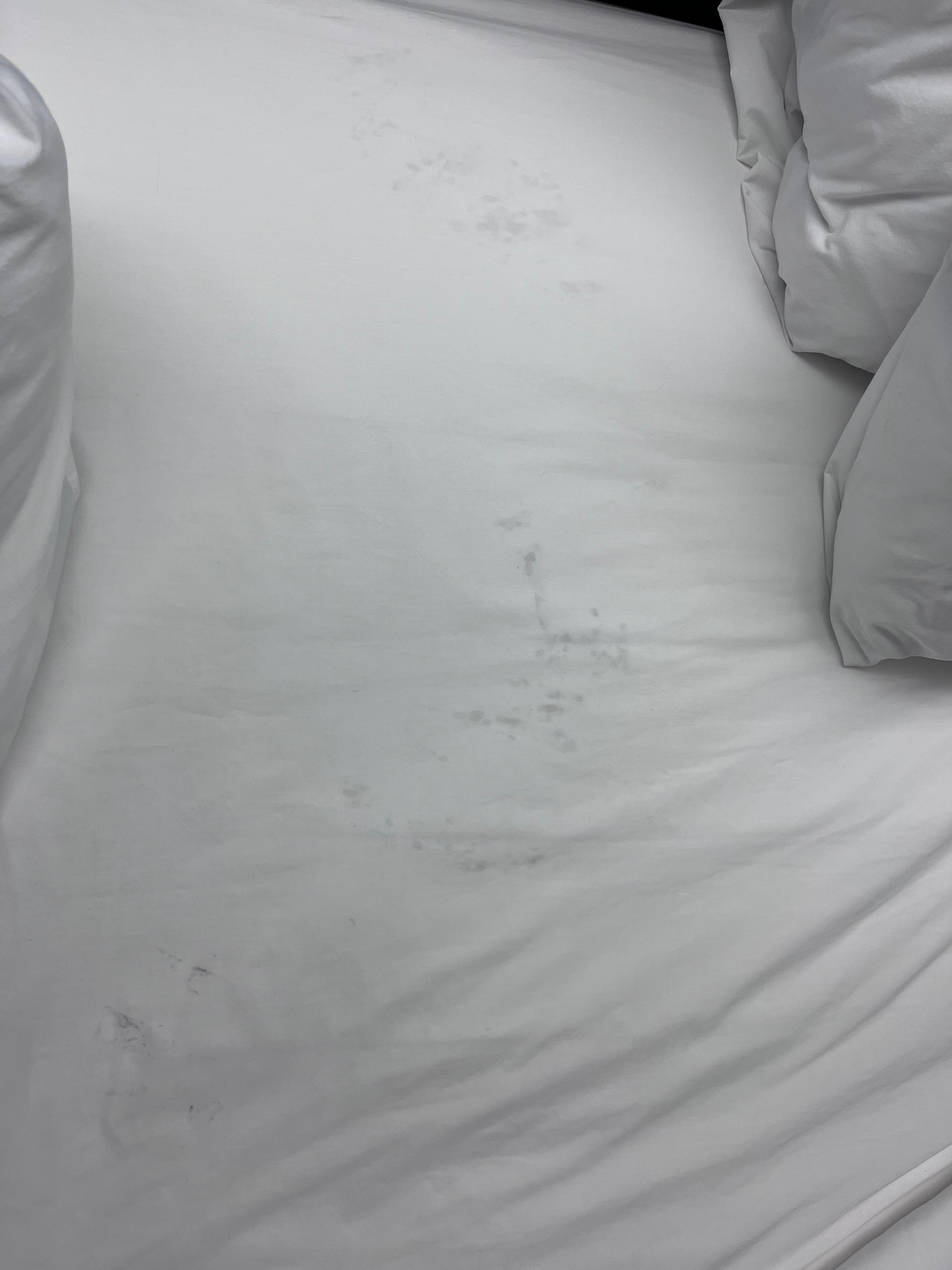 Dirty stained sheets 