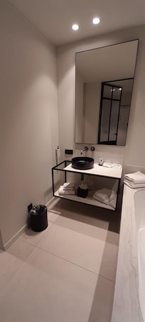 Bathroom in a Roomy room