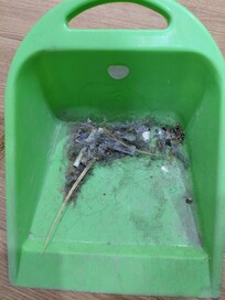 Dirt after having swept up myself just after arrival