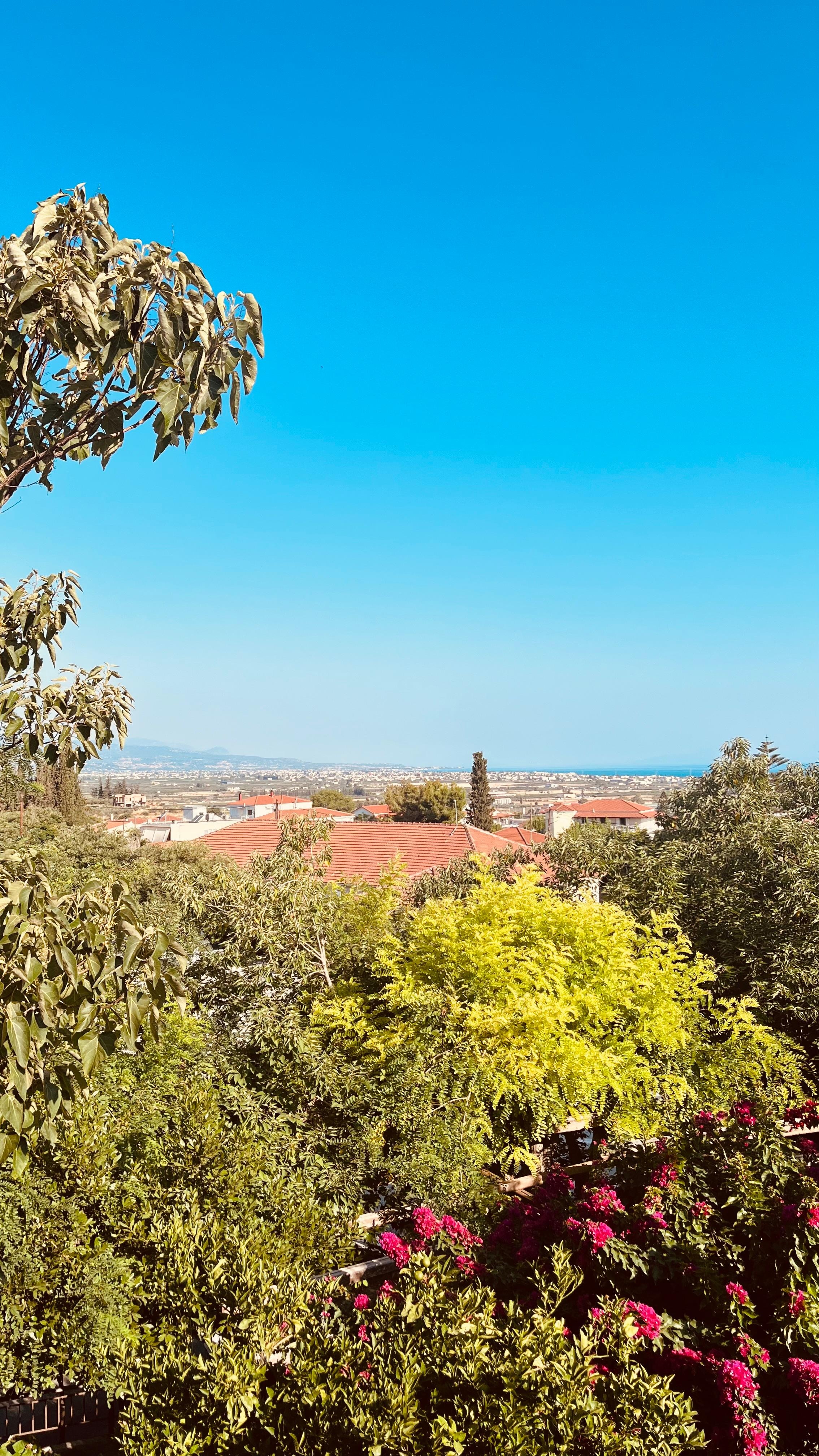 View from the breakfast area