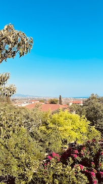 View from the breakfast area