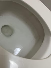 Mildew in toilet