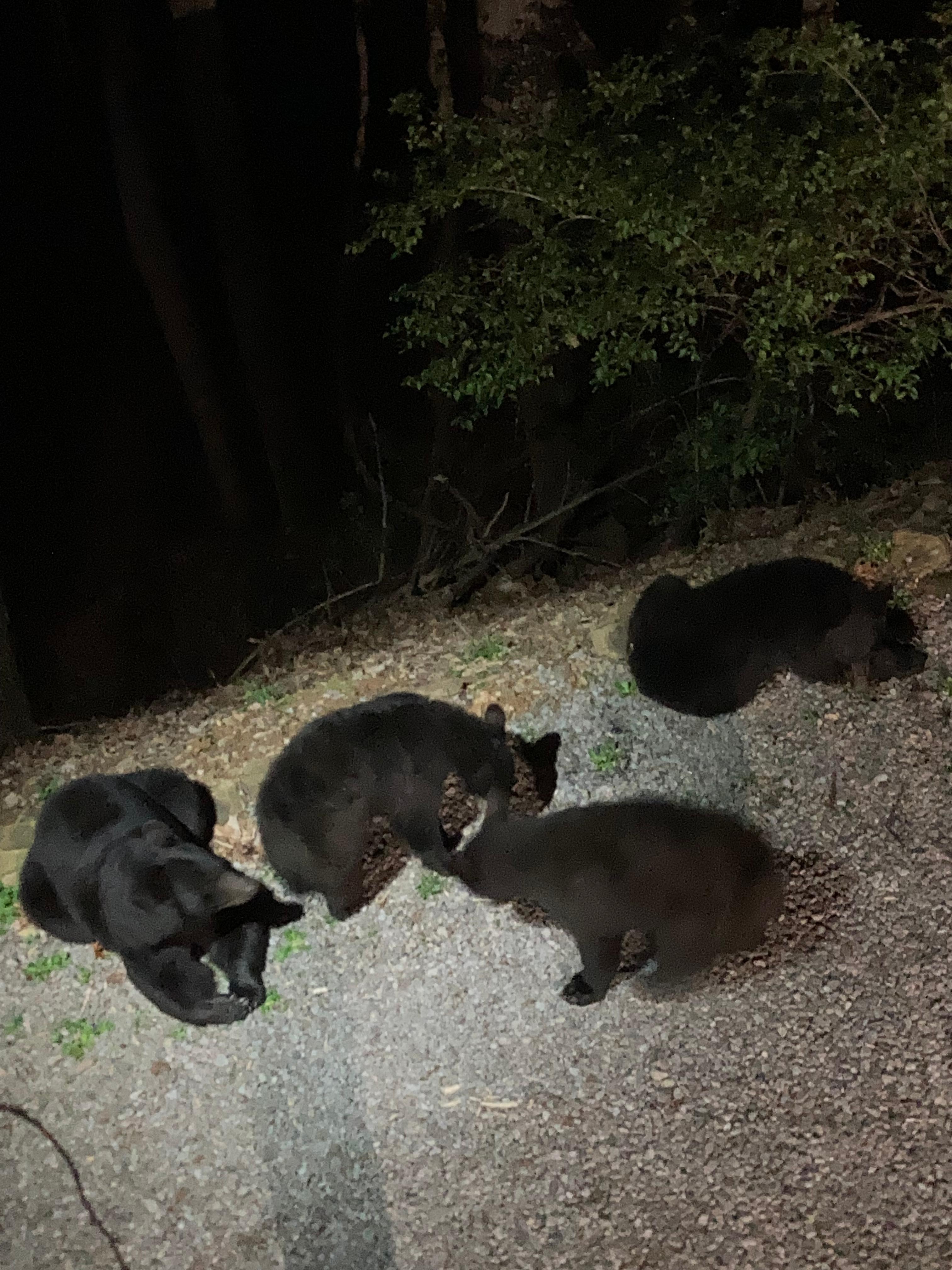 On the homes driveway!