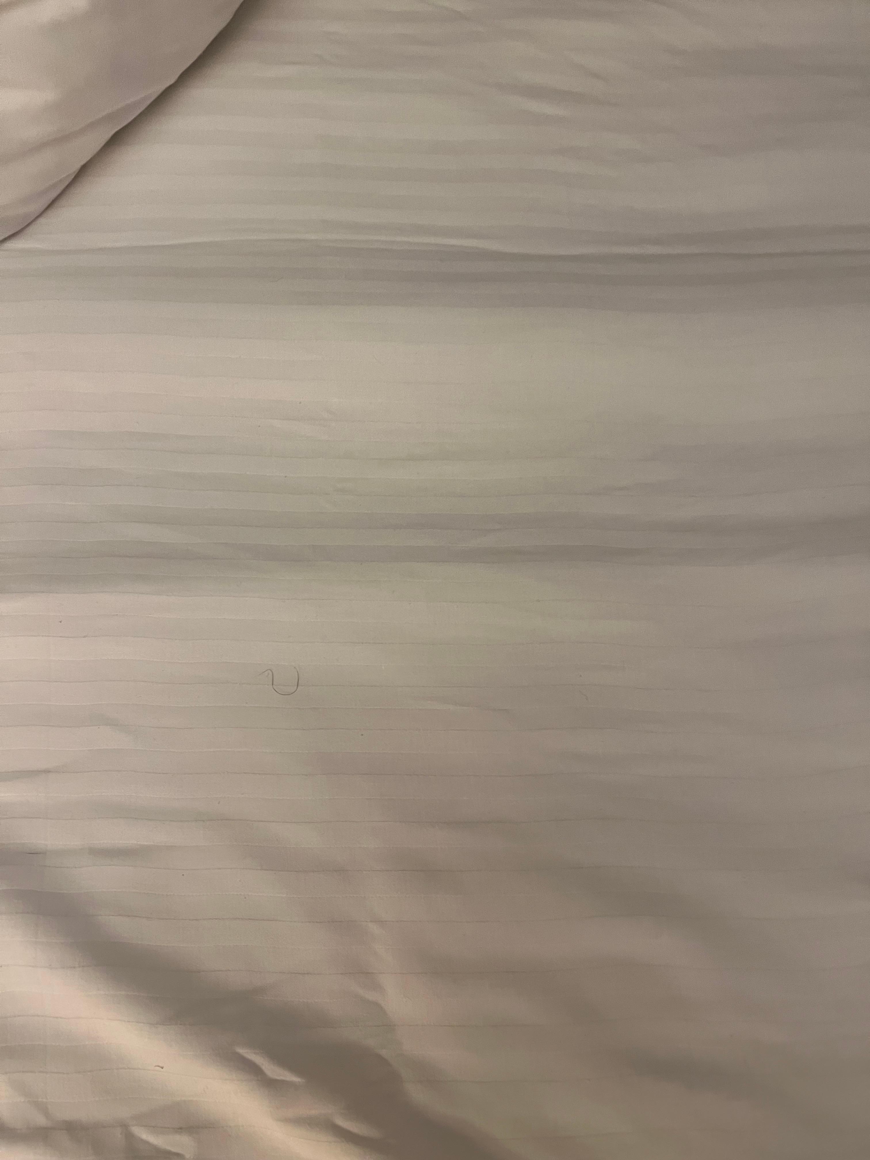 Man’s body hair in sheets upon check in