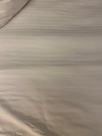 Man’s body hair in sheets upon check in