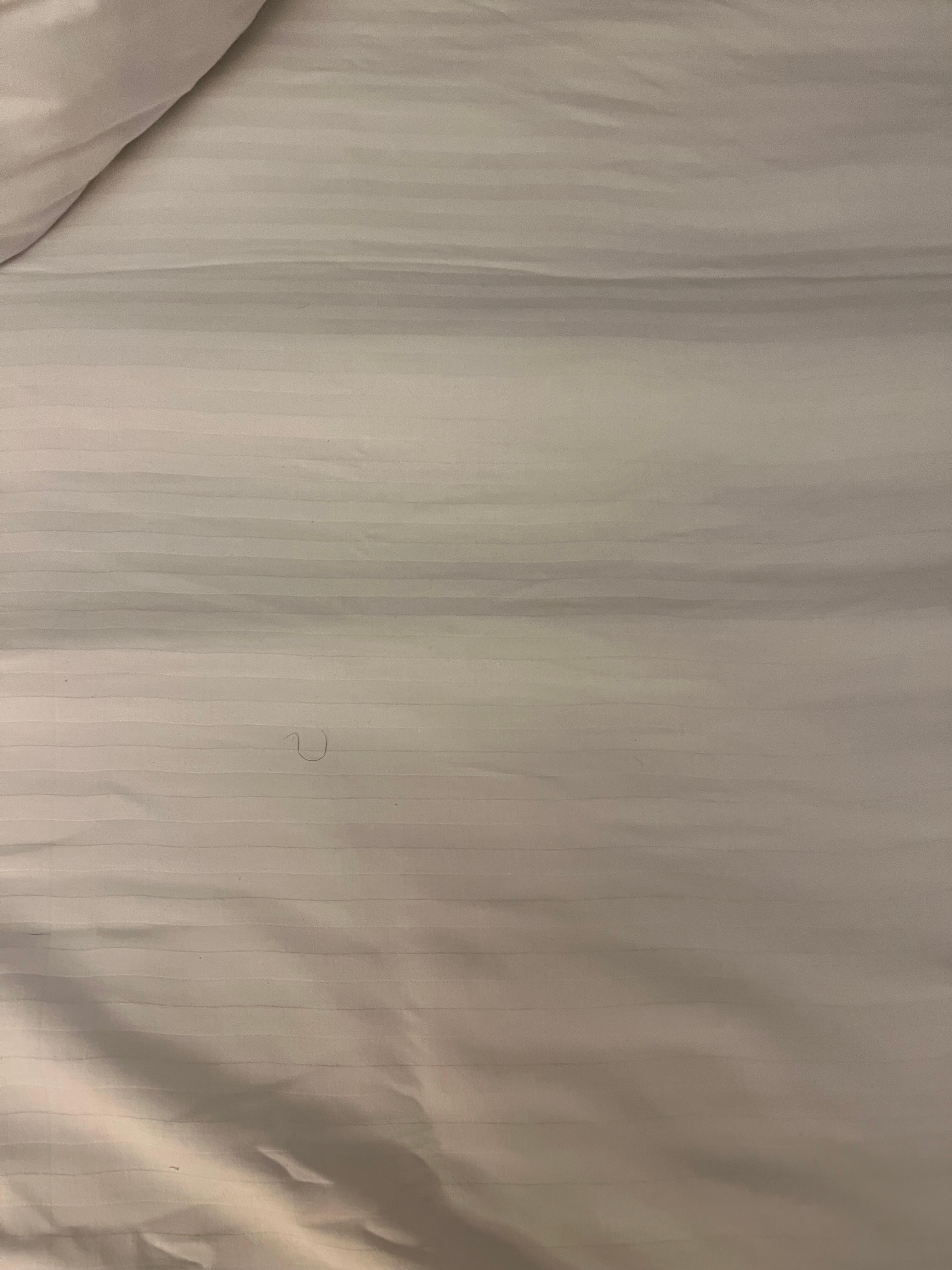 Man’s body hair in sheets upon check in