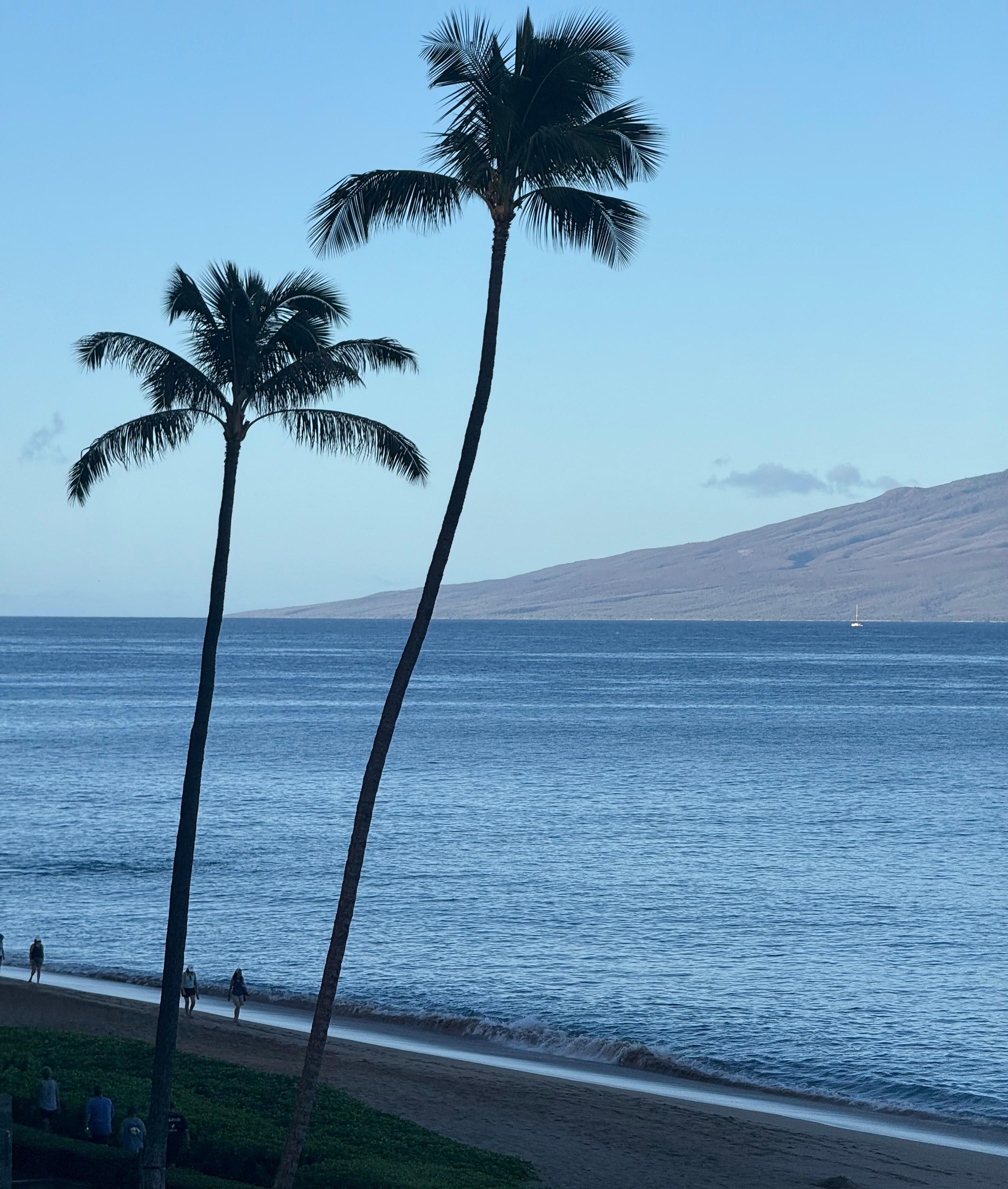 That view is indescribable!