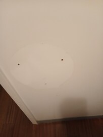 Bathroom wall by toilet with no toilet paper dispenser