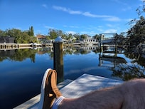 View from the dock