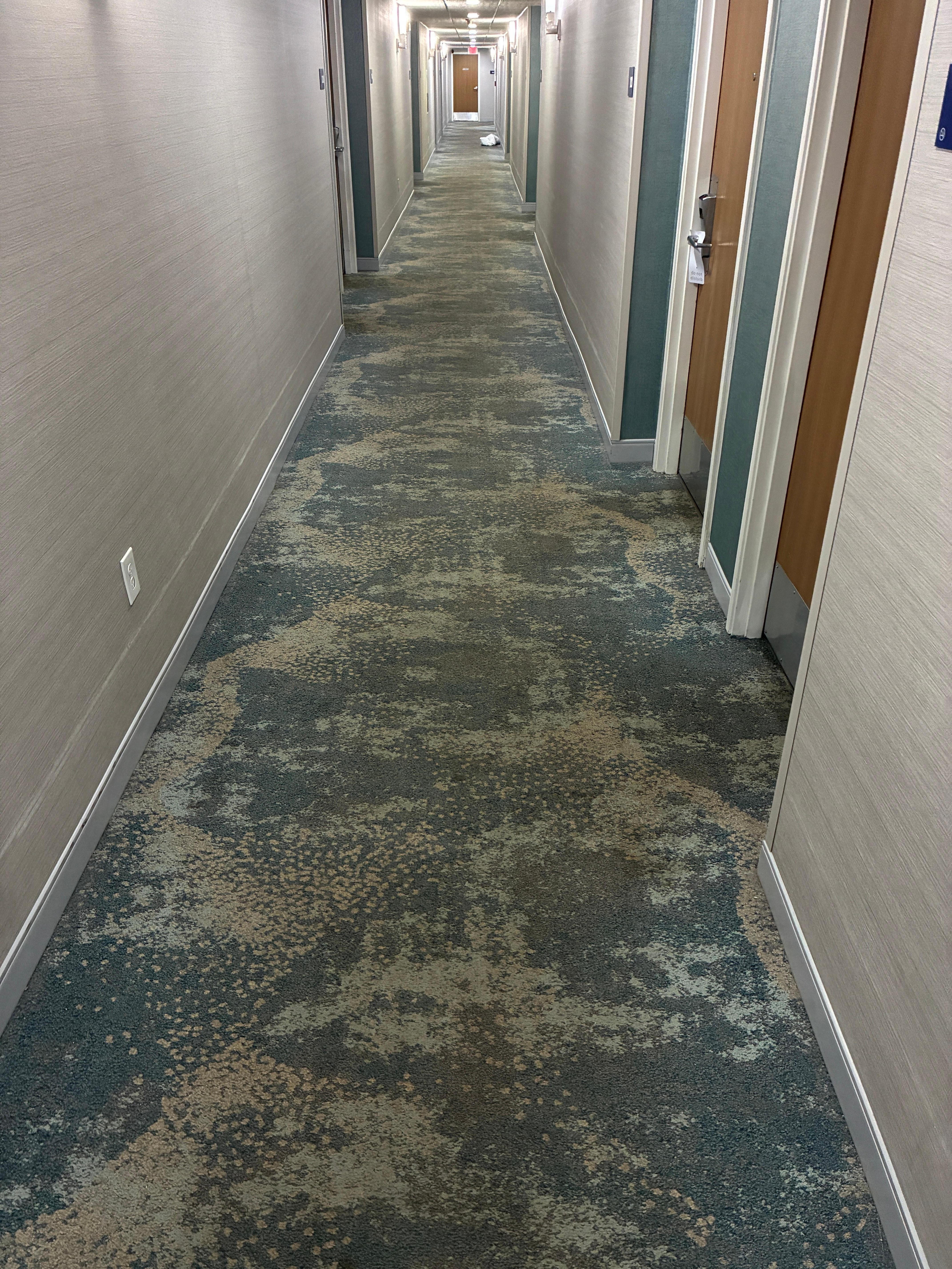 Filthy stained carpets. 