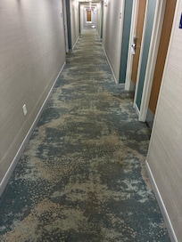 Filthy stained carpets.