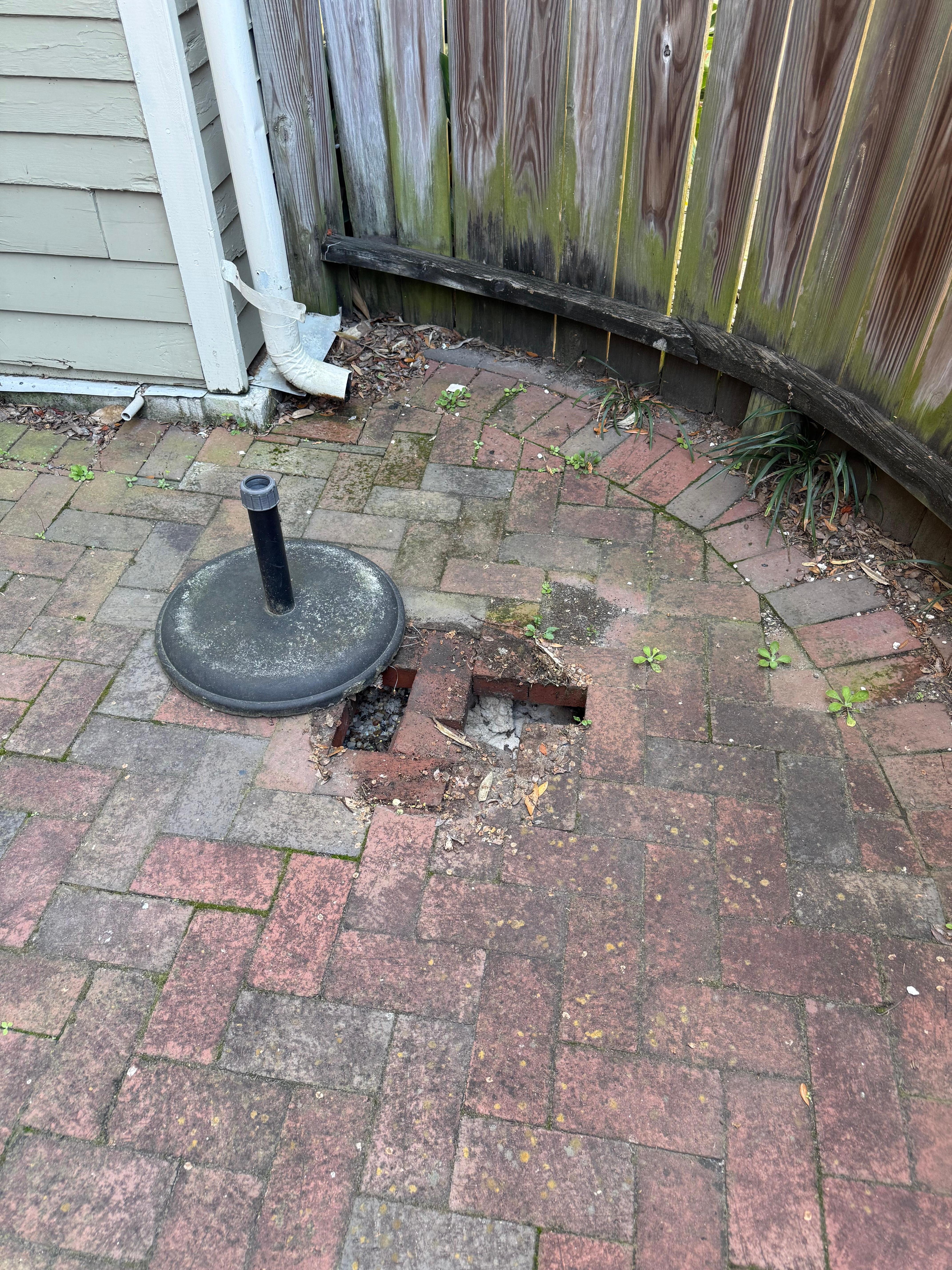Patio brick collapsed. My foot fell in