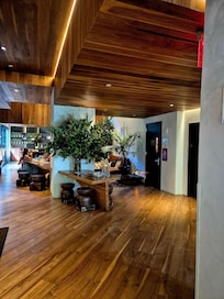 Reception area, always cool and welcoming