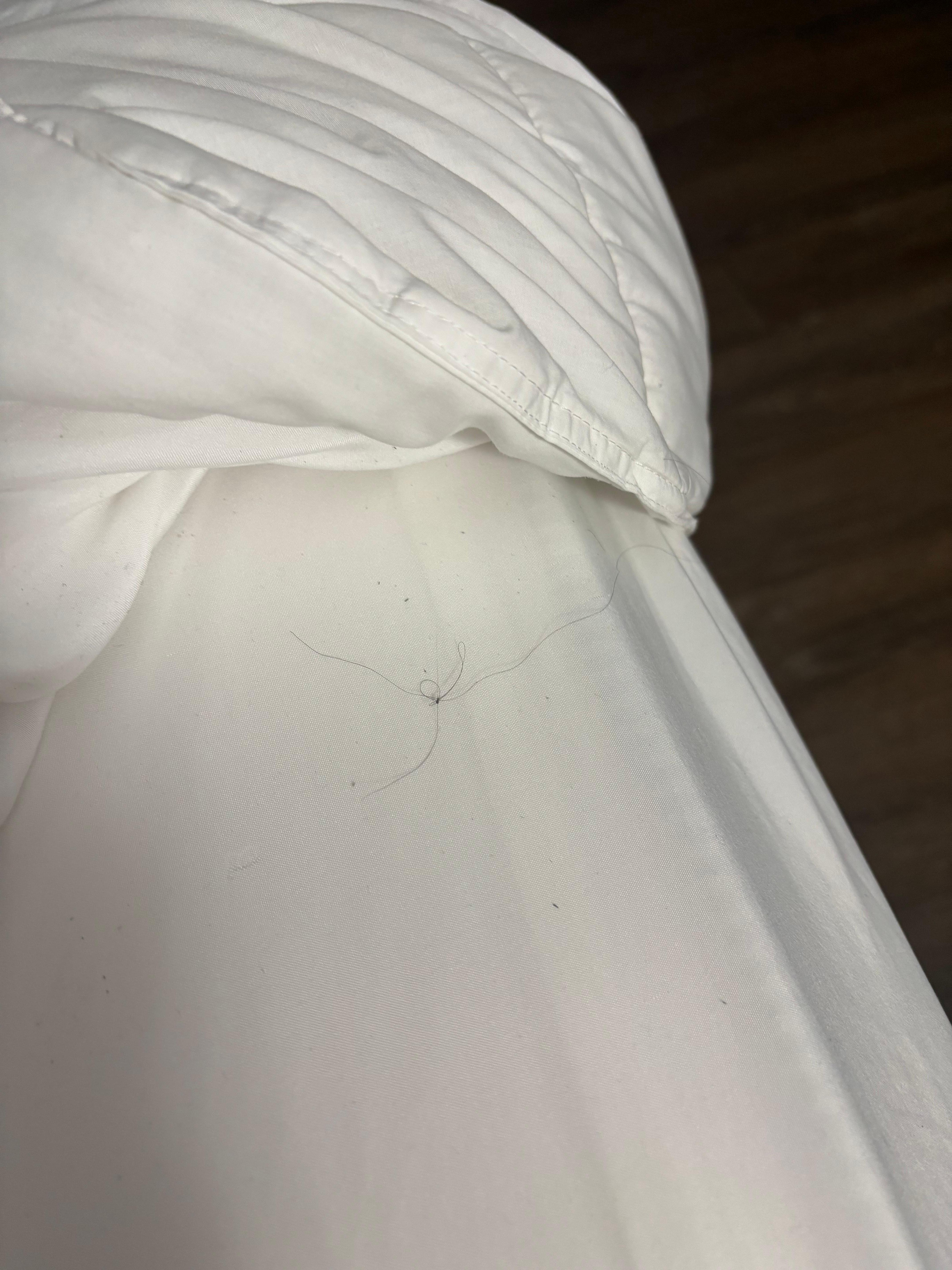 The hair on the bed and it wasn’t mine