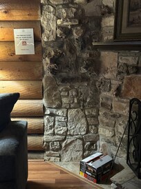 Fireplace probably needs cleaning too. Notice the whitish color on top part of the logs