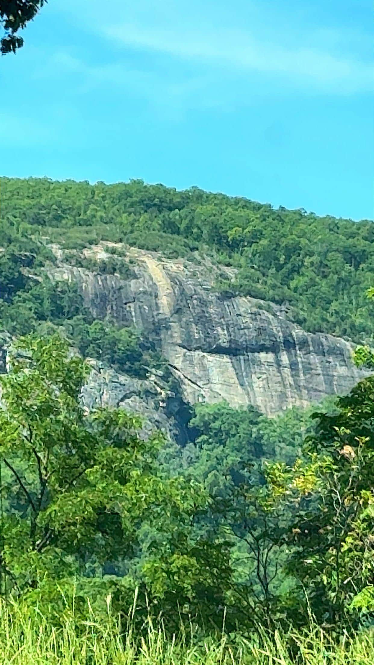 Beautiful views from the cabin.
