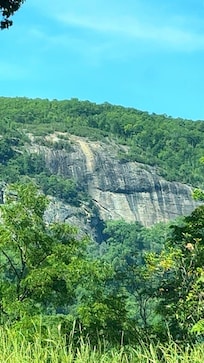 Beautiful views from the cabin.