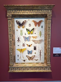 Museum piece