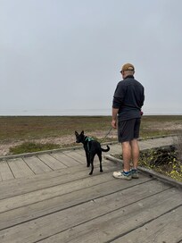 Short drive to Morro bay boardwalk