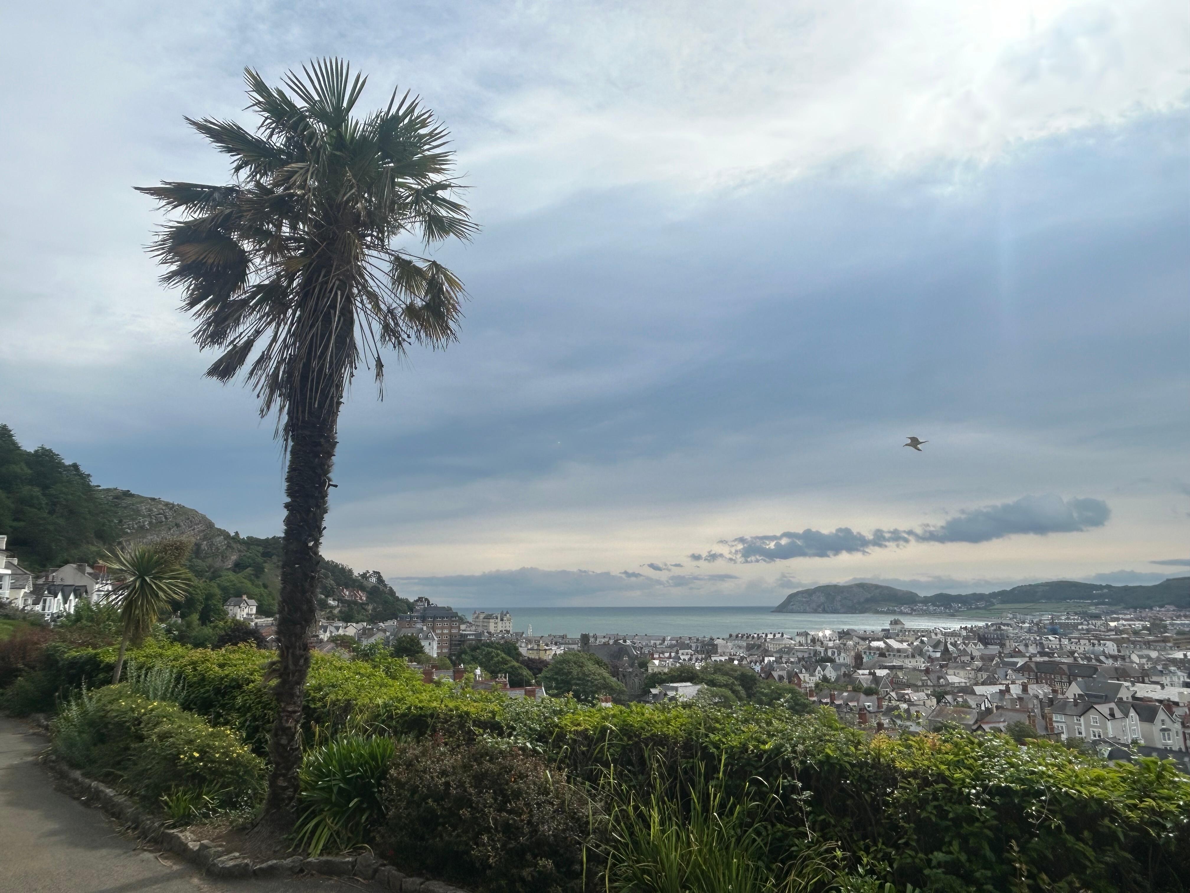 Haufre gardens