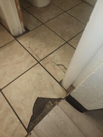 Cracked and missing tile