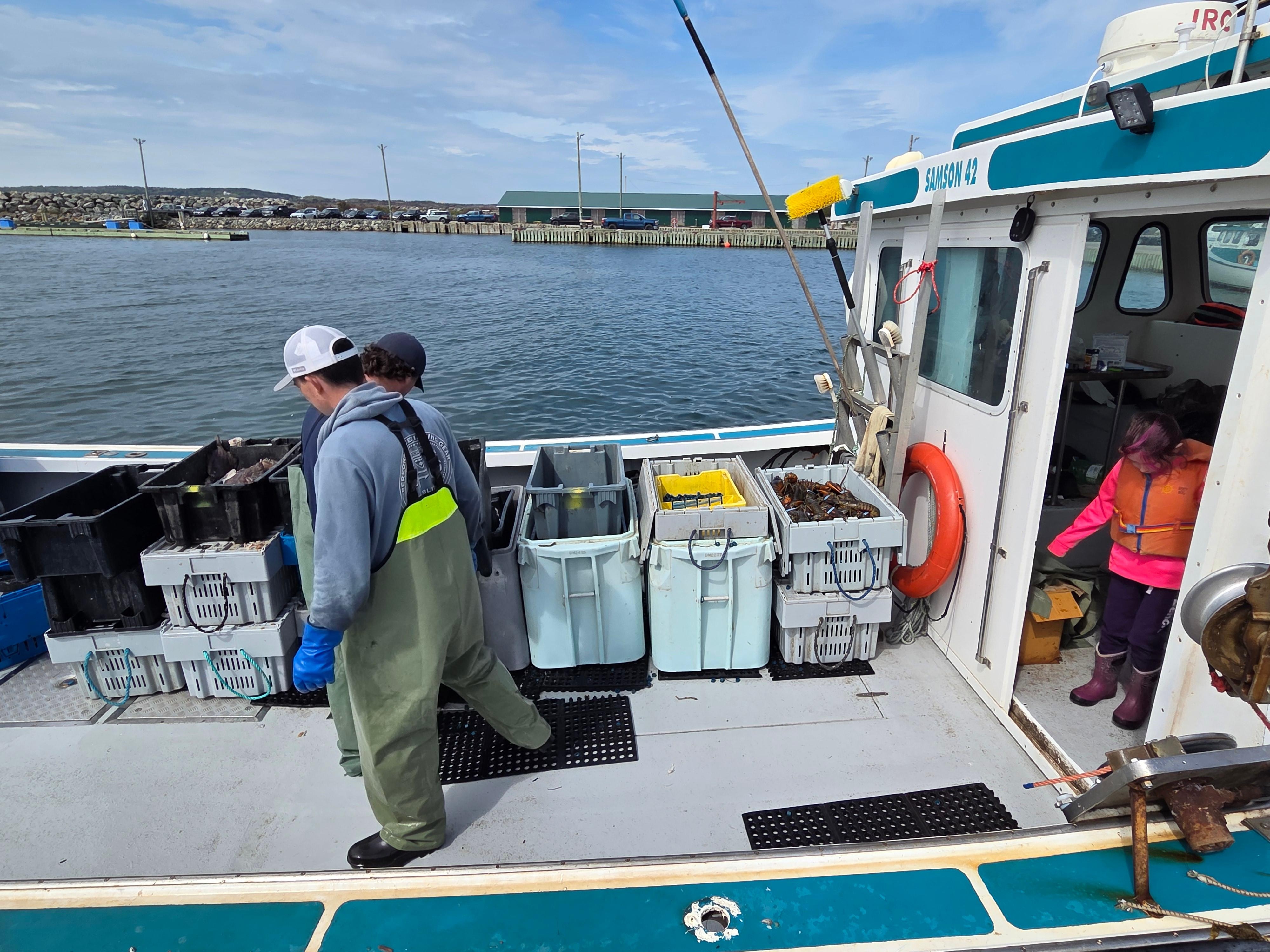 Lobster coming in