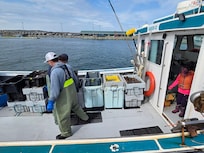 Lobster coming in