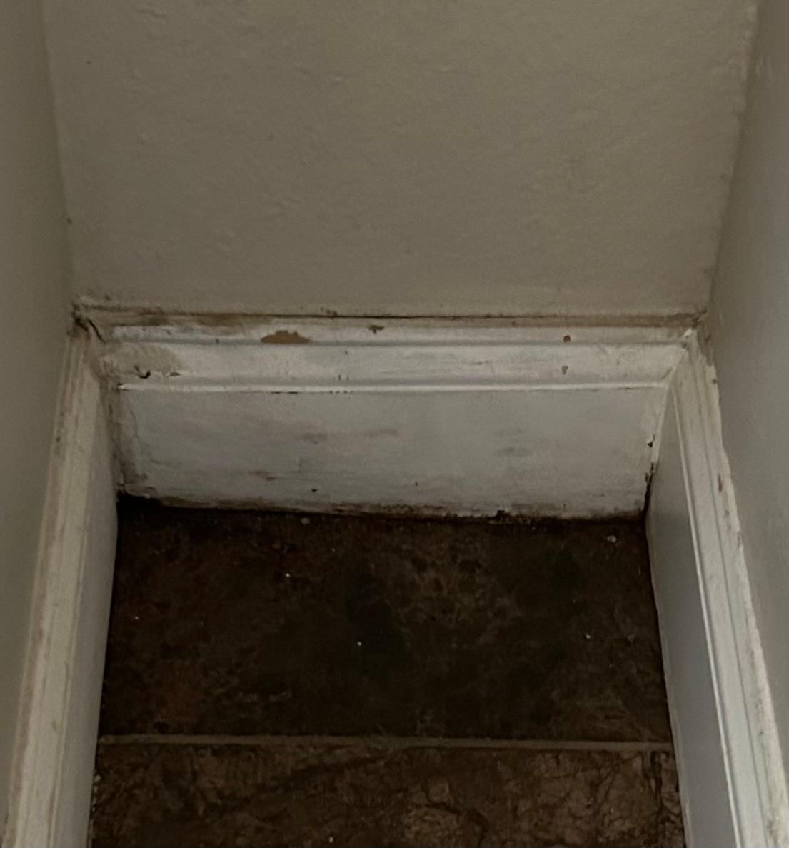 The whole place is like this - dingy and worn. Not like the pictures