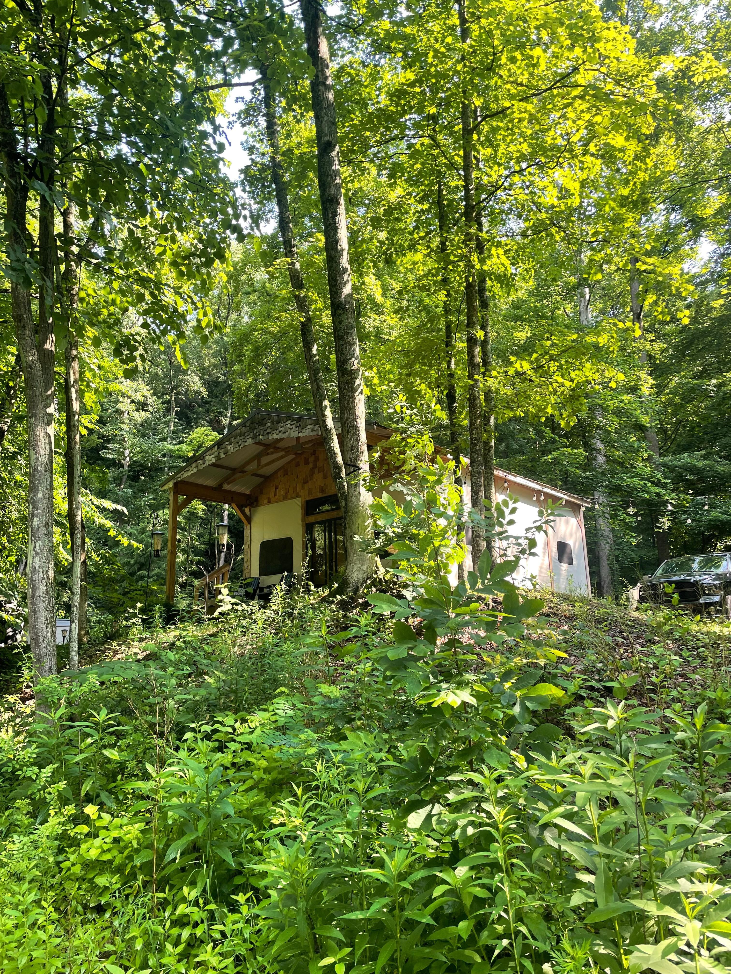Glampcamp from the firepit