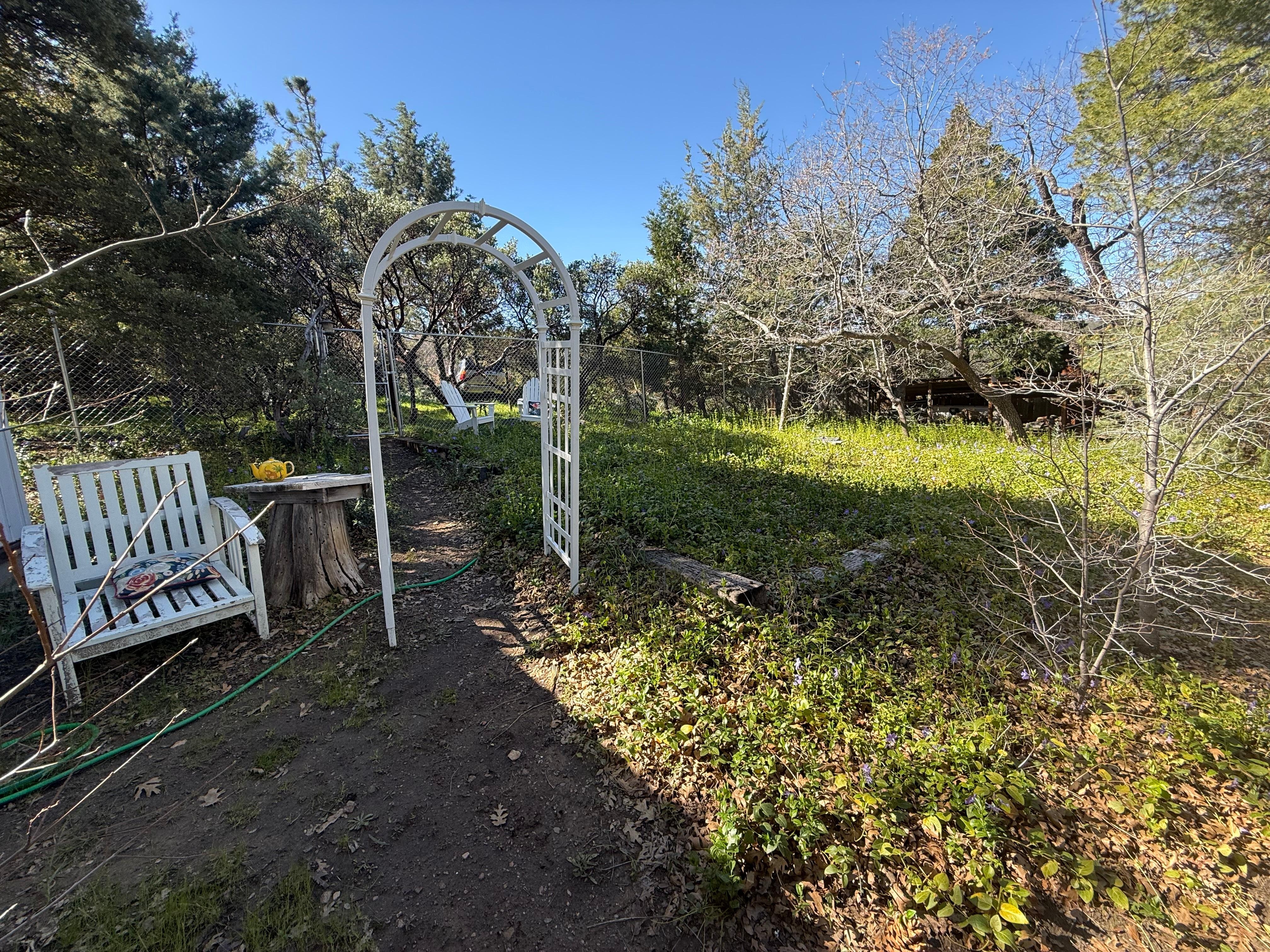 Wonderful, large, beautiful backyard!