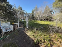 Wonderful, large, beautiful backyard!