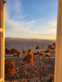 Blick aus dem Küchenfenster