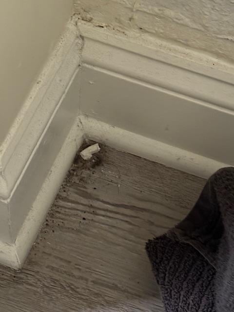 This is an example of the inside of the bedroom closets