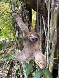 Host brought us this cutie so we could take pix