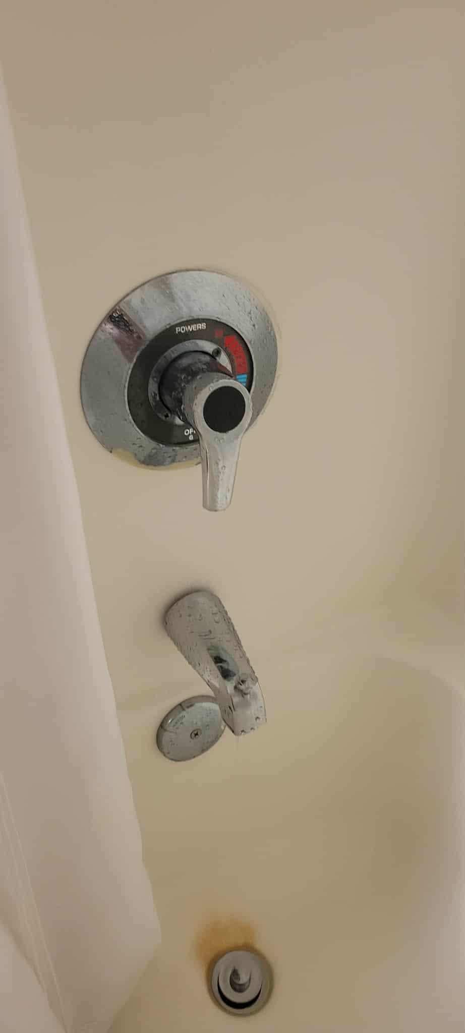 Shower diverter