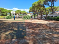 Pineta vicino all' appartamento
