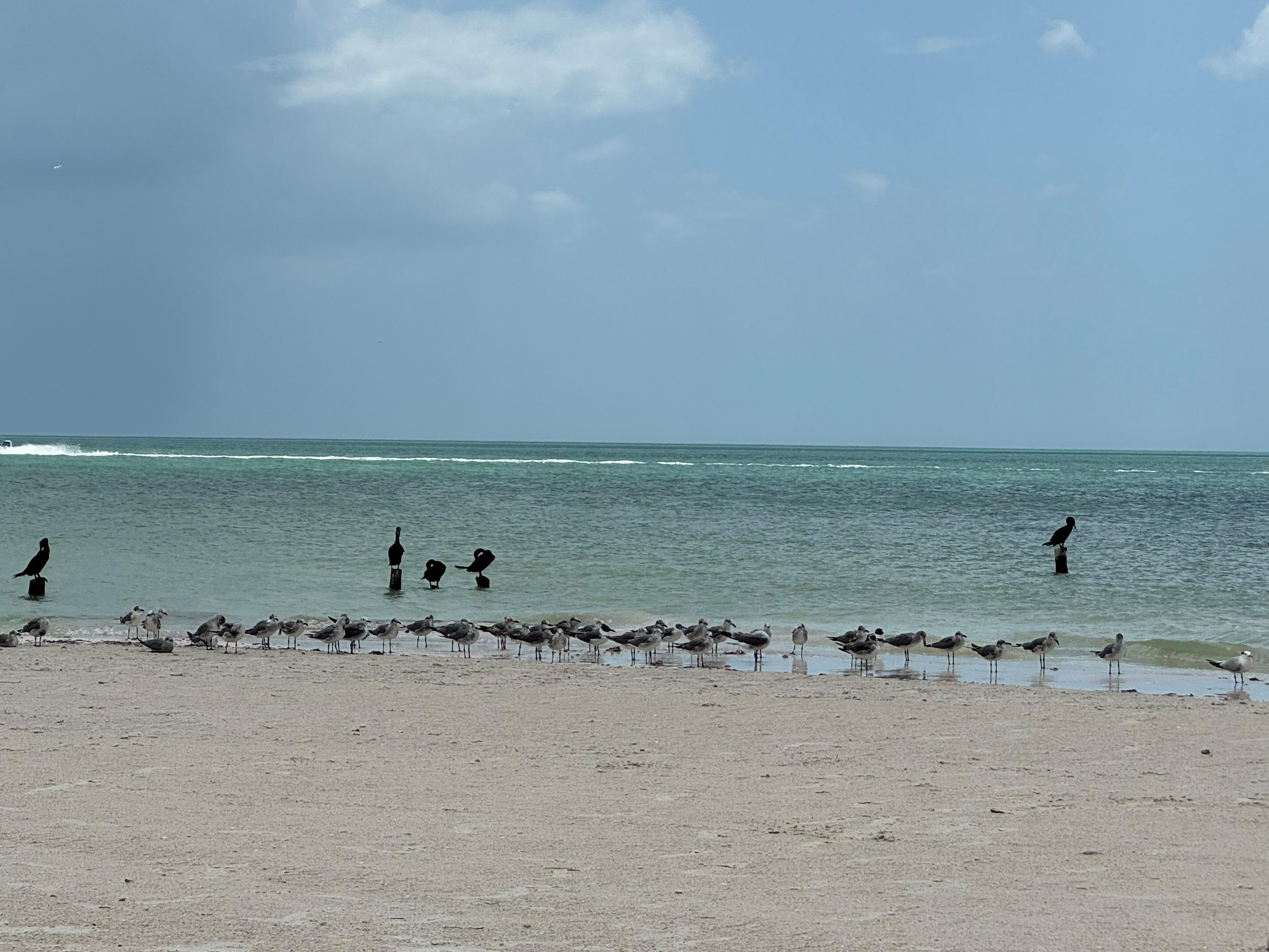 Hotel beach