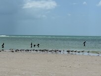 Hotel beach