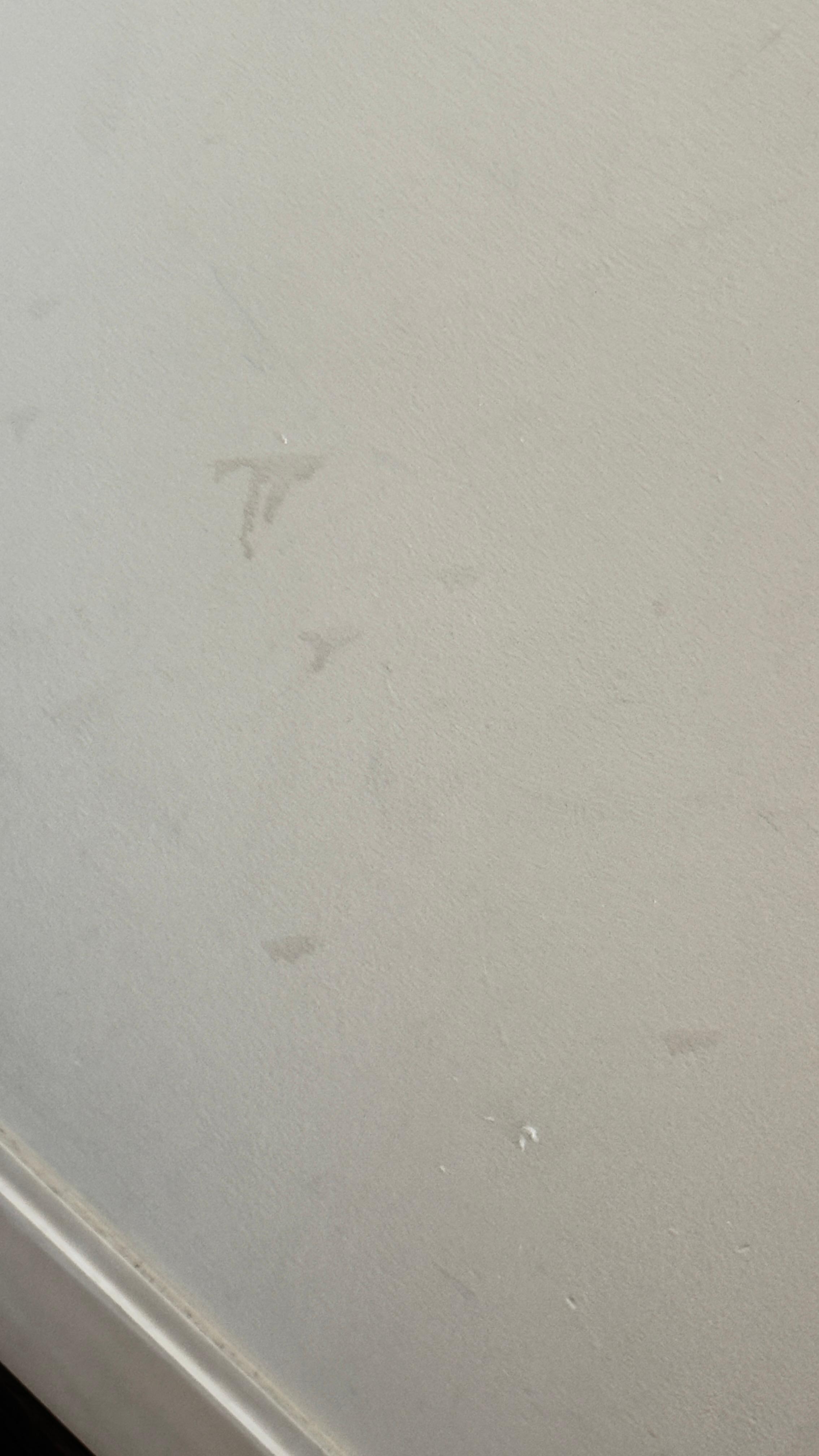 Walls in our room were filthy